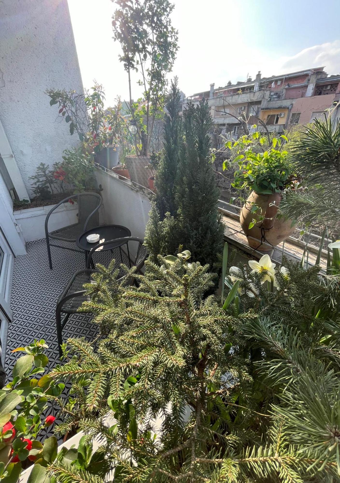 Apartman Avenia Novi Sad Exterior photo
